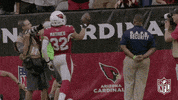 Arizona Cardinals Football GIF by NFL