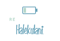 Relax Hawaii Sticker by Halekulani