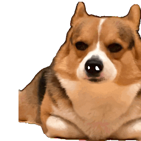 Fun Dog Sticker