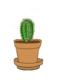 rostu_z_vody plant cactus kaktus kytka Sticker