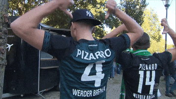 Football Soccer GIF by SV Werder Bremen