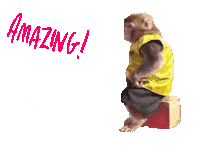 Fun Monkey Sticker