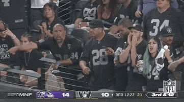 Las Vegas Raiders Football GIF by NFL