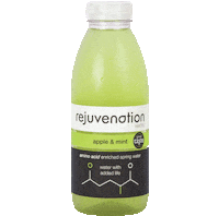plant based vegan Sticker by Rejuvenation Water