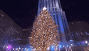 Christmas Tree GIF by NBC