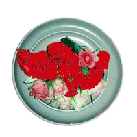 Really Like You Cooking Sticker by Anja Kotar