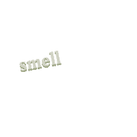 Smell Good Sticker by Wakeheart