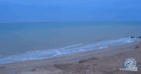 kirillovka 24 marta GIF