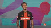 Bayer Leverkusen No GIF by Bundesliga