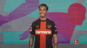 Bayer Leverkusen Wink GIF by Bundesliga