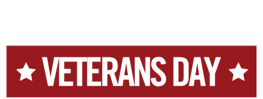 Iraq Veteran Veterans Day Sticker by Veterans of Foreign Wars of the U.S. (VFW)