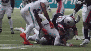 Football Celebration GIF by New England Patriots