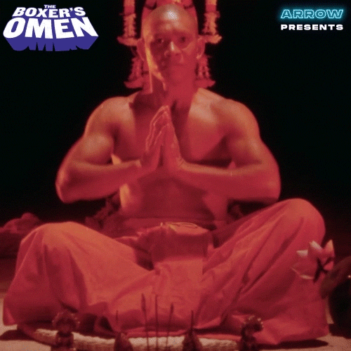 Martial Arts Fighting GIF by Arrow Video