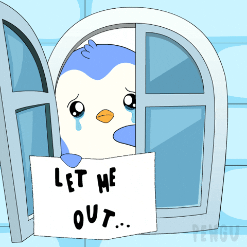 Im Innocent Let Me Go GIF by Pudgy Penguins