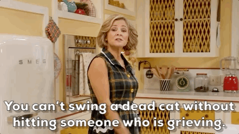amy sedaris ah106 GIF by truTV’s At Home with Amy Sedaris