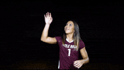 Littlerockvb GIF by Little Rock Athletics