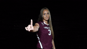 Littlerockvb GIF by Little Rock Athletics