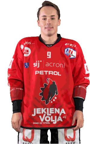 Hockey Hokej Sticker by HDD SIJ Acroni Jesenice