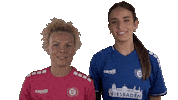 Vcw Sticker by Volleyball Bundesliga
