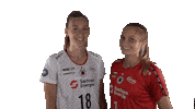 Dresden Sticker by Volleyball Bundesliga