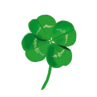 dhefloriano luck clover sorte trevo Sticker