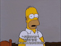 homer simpson GIF