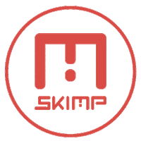 SKIMPFRANCE logo belt ceinture skimp Sticker