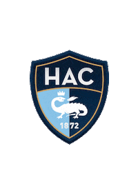 Ligue2BKT football l2 lehavre hac Sticker