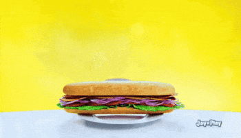 Angry Pets GIF by HangryPetz