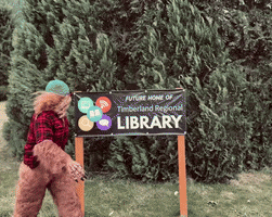 Big Foot GIF by Timberland Regional Library