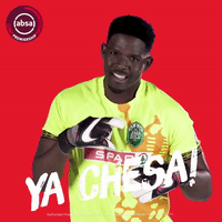 south african soccer GIF