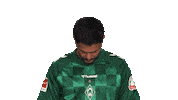 Look Up Werder Bremen Sticker by Bundesliga