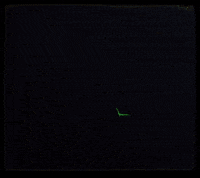 Green Fire GIF by goodjuan