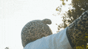 Happy La Verne GIF by UniversityofLaVerne