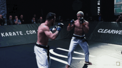 karatecombat giphyupload knockout mma karate GIF