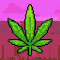 Weed Marijuana GIF