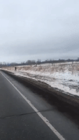 Man in Amish Clothing Skis Behind Horse-Drawn Cart in Minnesota