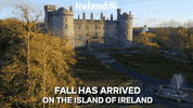 Travel Fall GIF by Tourism Ireland