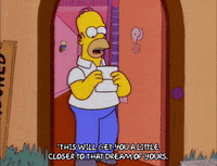 homer simpson GIF
