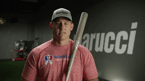 Anthony Rizzo Smile GIF by Marucci Sports