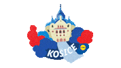 Kosice Sticker by Lidl Slovensko