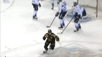 Happy Sport GIF by Eisbären Berlin