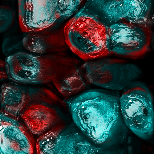 animation love GIF by POST-WEB