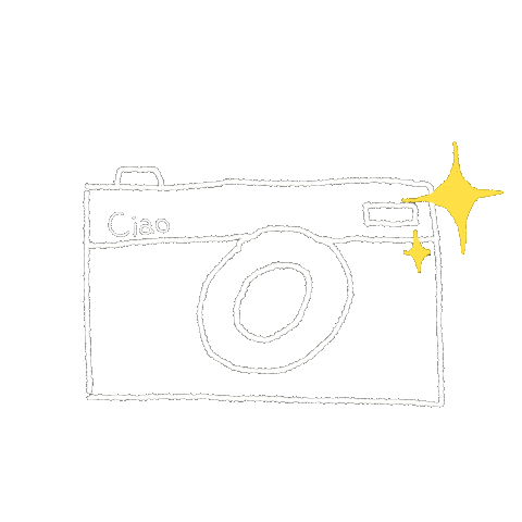 Camera カメラ Sticker