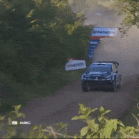 Fast Car Toyota GIF by FIA World Rally Championship
