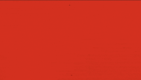 Uzbekistan GIF