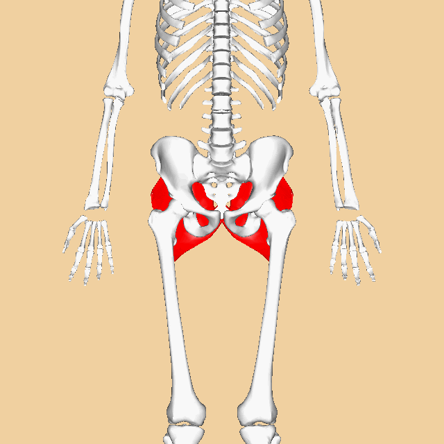 inspirahpilatesraquel giphyupload GIF