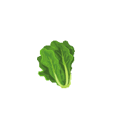 juicernet fruit juice vegetables veggies Sticker