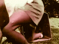 open knowledge vintage GIF by Okkult Motion Pictures