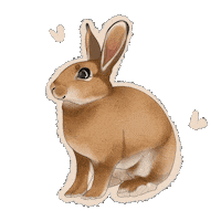 Bunny Rabbit Sticker